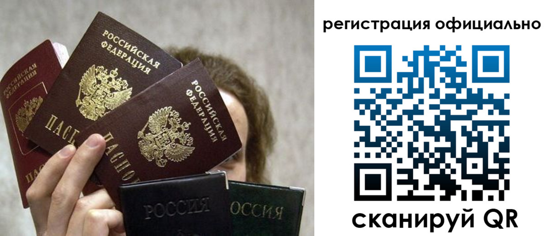 где прописаться в Курской области